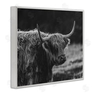 Crystal Lynn Collins | Bold Scottish Highland
