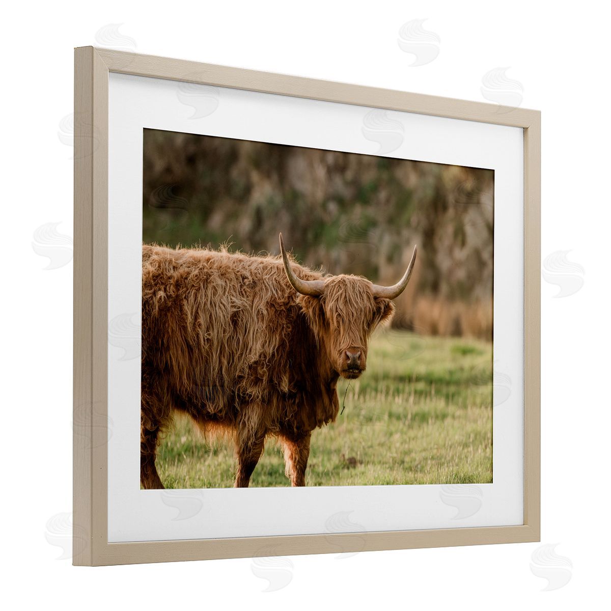 Crystal Lynn Collins Scottish Highland Grazing Canvas Wall Art Print
