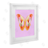 Ashley Singleton | Bright Painted Butterfly Wings