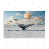 Richard Silver | Antarctica Whale Tail