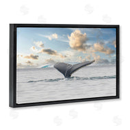 Richard Silver | Antarctica Whale Tail