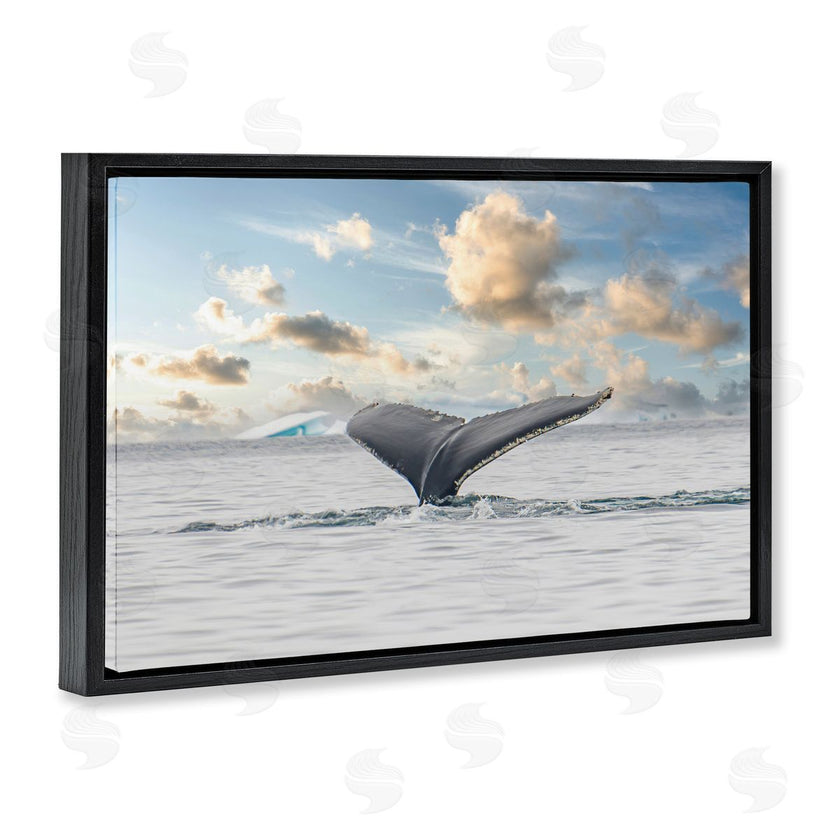 Richard Silver | Antarctica Whale Tail