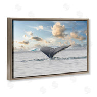 Richard Silver | Antarctica Whale Tail