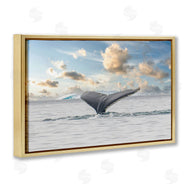 Richard Silver | Antarctica Whale Tail
