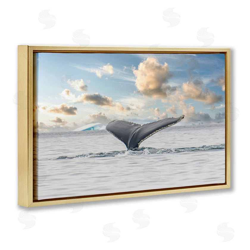 Richard Silver | Antarctica Whale Tail
