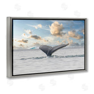 Richard Silver | Antarctica Whale Tail