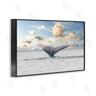 Richard Silver | Antarctica Whale Tail