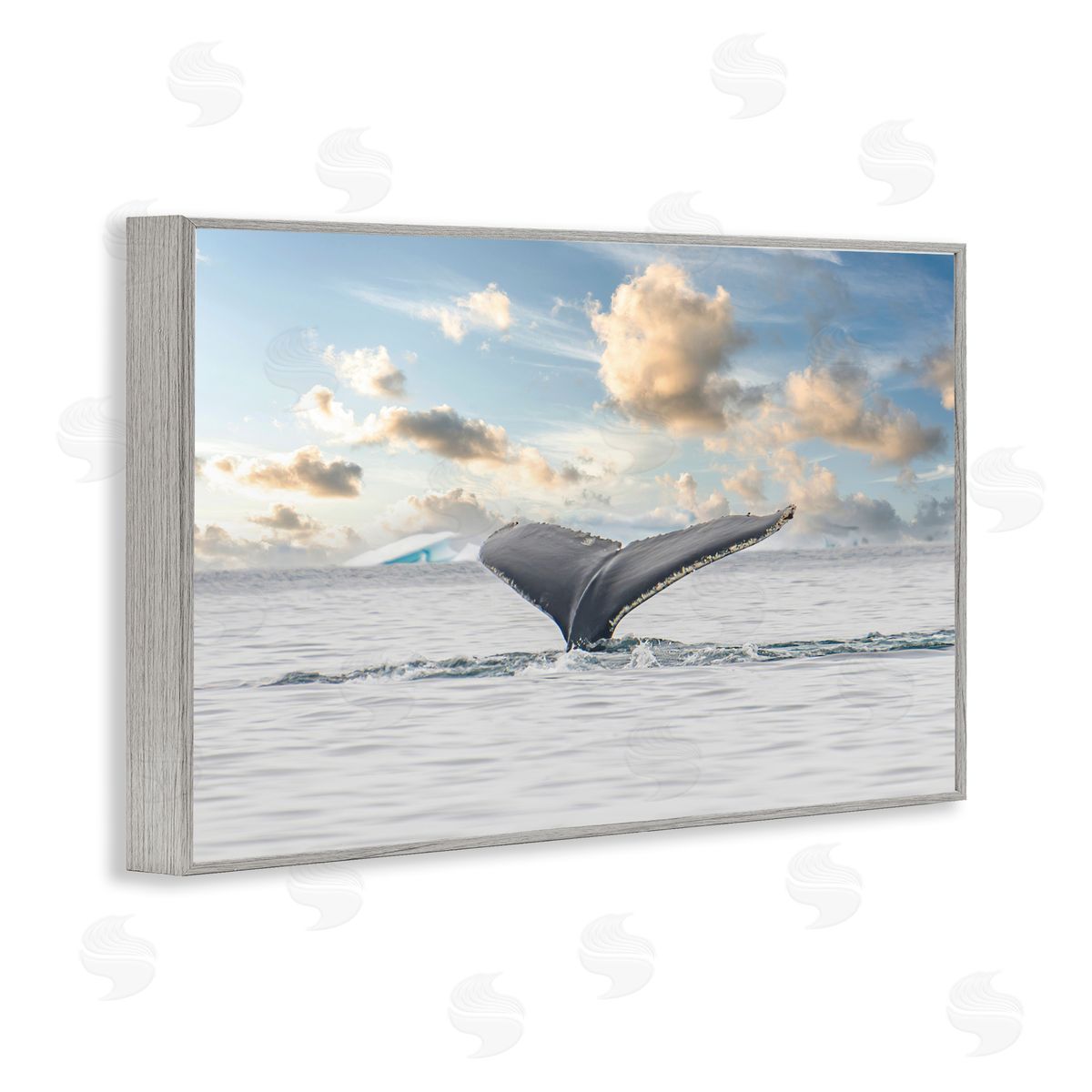 Richard Silver Antarctica Whale Tail Canvas Wall Art Print