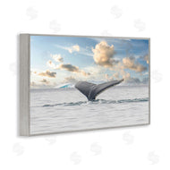 Richard Silver | Antarctica Whale Tail