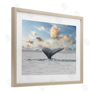 Richard Silver | Antarctica Whale Tail
