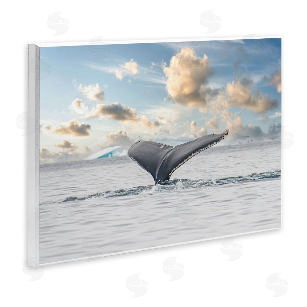 Richard Silver Antarctica Whale Tail Canvas Wall Art Print