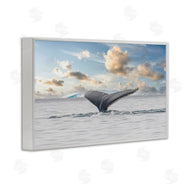 Richard Silver | Antarctica Whale Tail