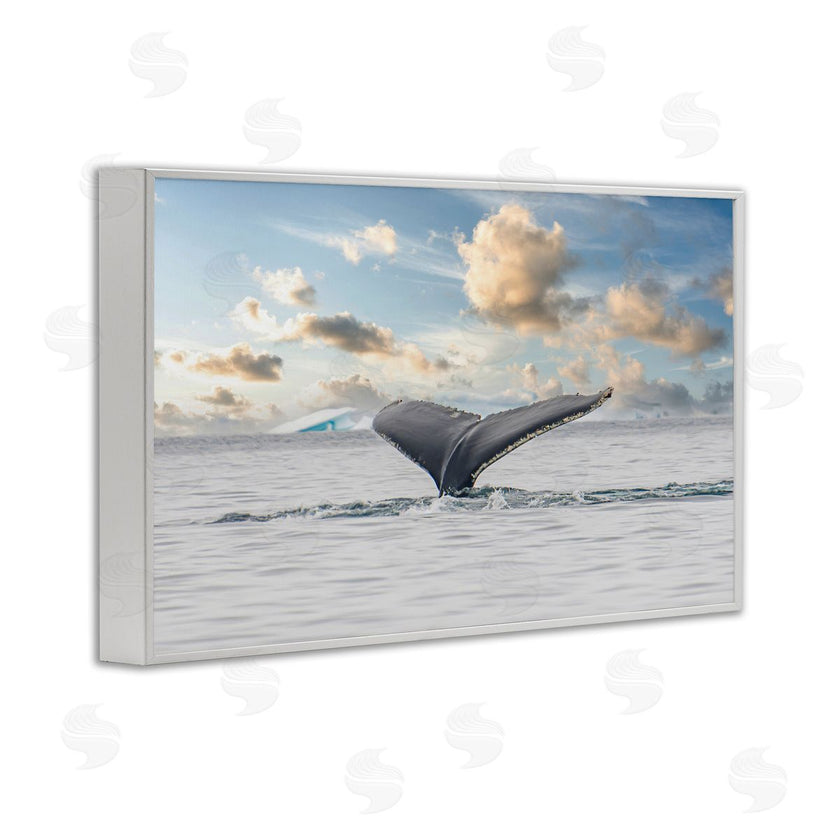 Richard Silver | Antarctica Whale Tail