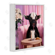 Lucia Heffernan | Baby Goat Sipping Milk