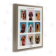 Lucia Heffernan | Follow Your Nose Dogs