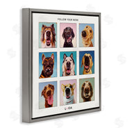 Lucia Heffernan | Follow Your Nose Dogs
