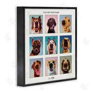 Lucia Heffernan | Follow Your Nose Dogs