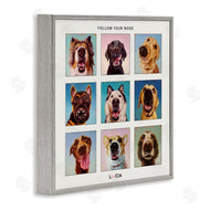 Lucia Heffernan | Follow Your Nose Dogs