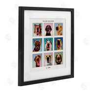 Lucia Heffernan | Follow Your Nose Dogs