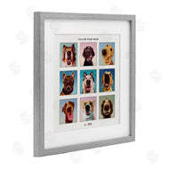 Lucia Heffernan | Follow Your Nose Dogs