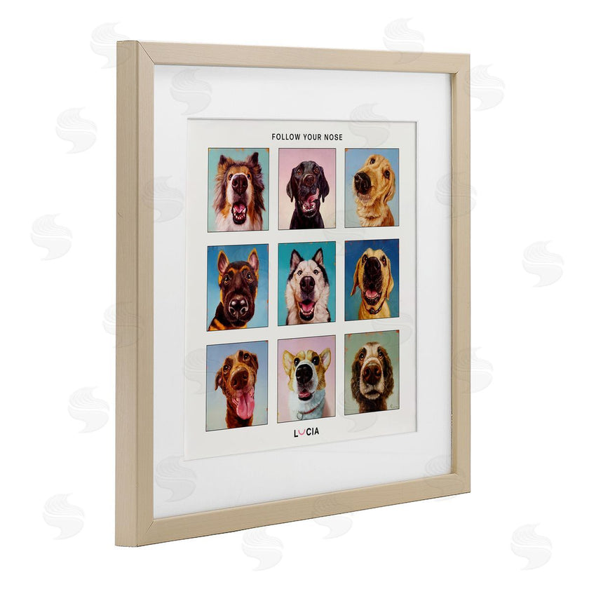 Lucia Heffernan | Follow Your Nose Dogs