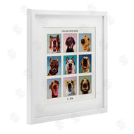 Lucia Heffernan | Follow Your Nose Dogs