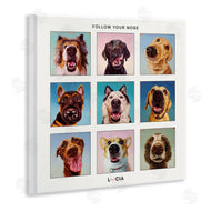 Lucia Heffernan | Follow Your Nose Dogs