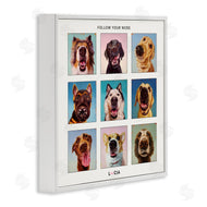 Lucia Heffernan | Follow Your Nose Dogs