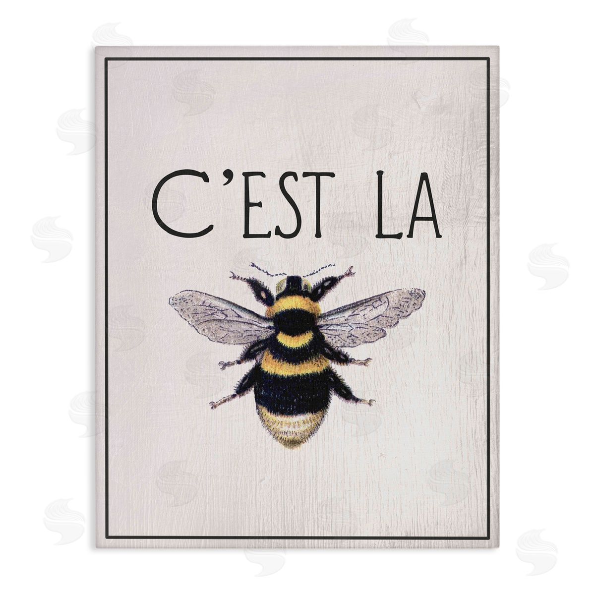 Lil' Rue French Bee Phrase Canvas Wall Art Print