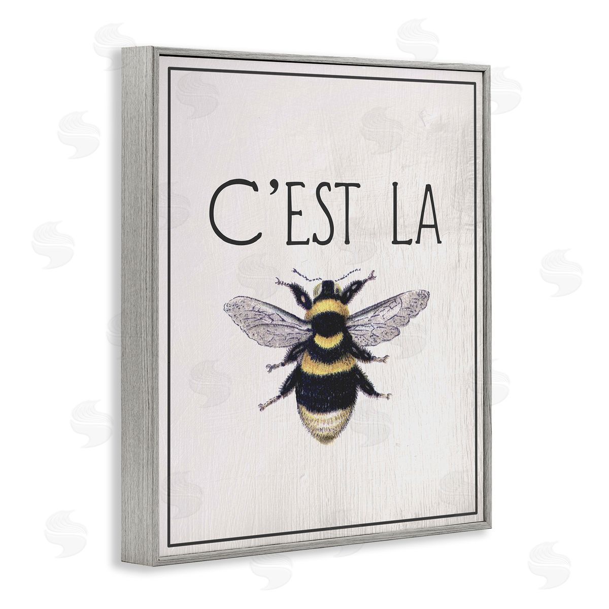 Lil' Rue French Bee Phrase Canvas Wall Art Print