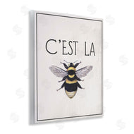 Lil' Rue | French Bee Phrase