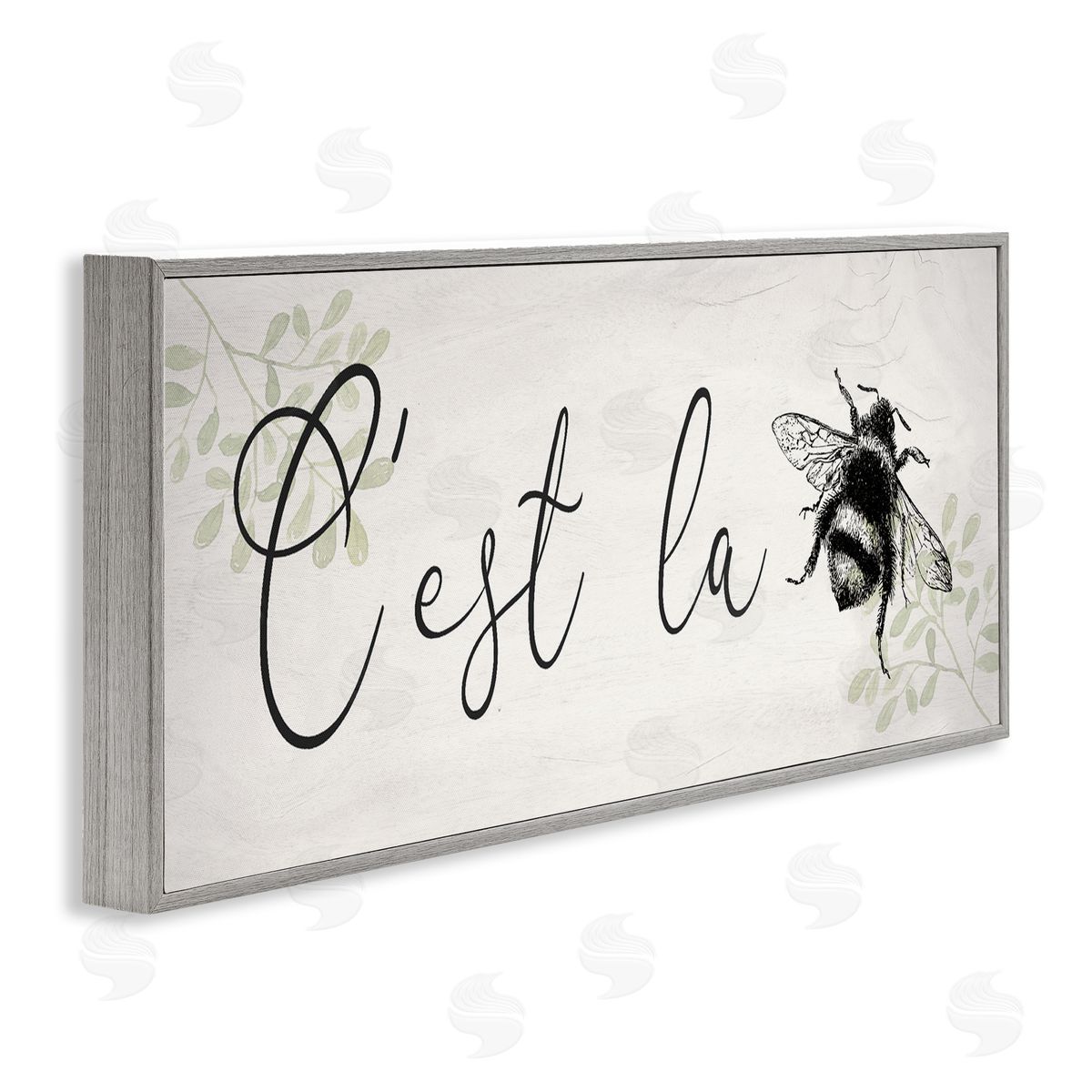 Lil' Rue C'est La Bee Phrase Canvas Wall Art Print