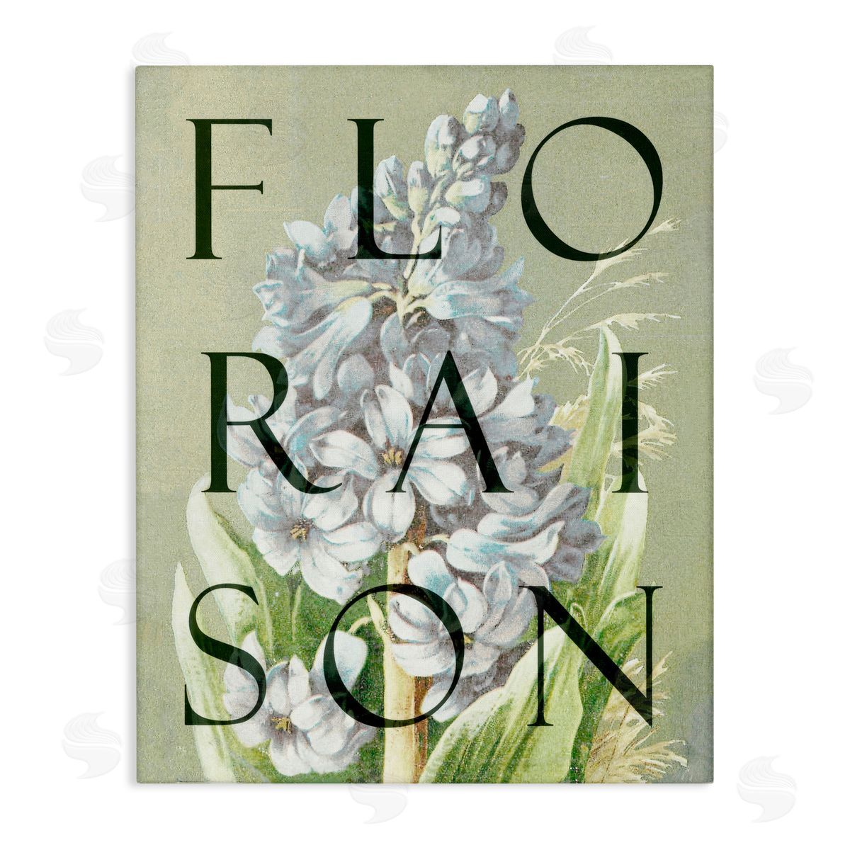 Lil' Rue Blooming French Flower Canvas Wall Art Print