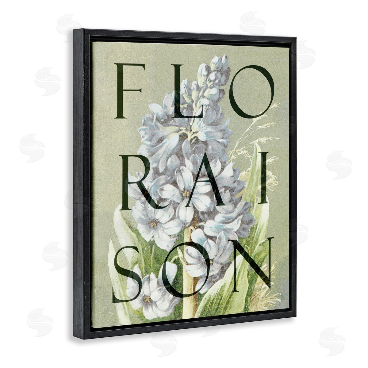 Lil' Rue Blooming French Flower Canvas Wall Art Print