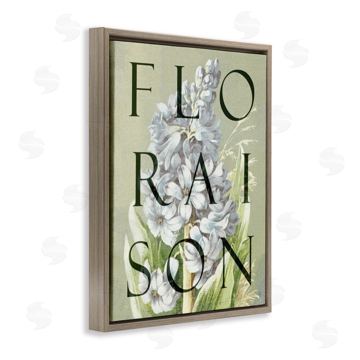Lil' Rue Blooming French Flower Canvas Wall Art Print