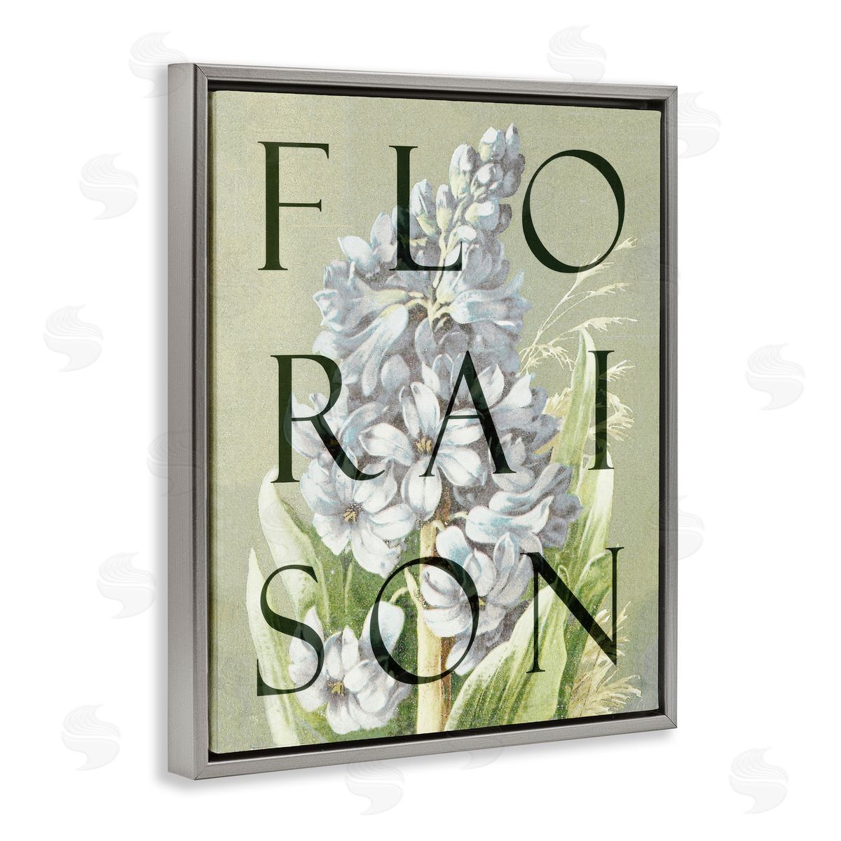 Lil' Rue Blooming French Flower Canvas Wall Art Print