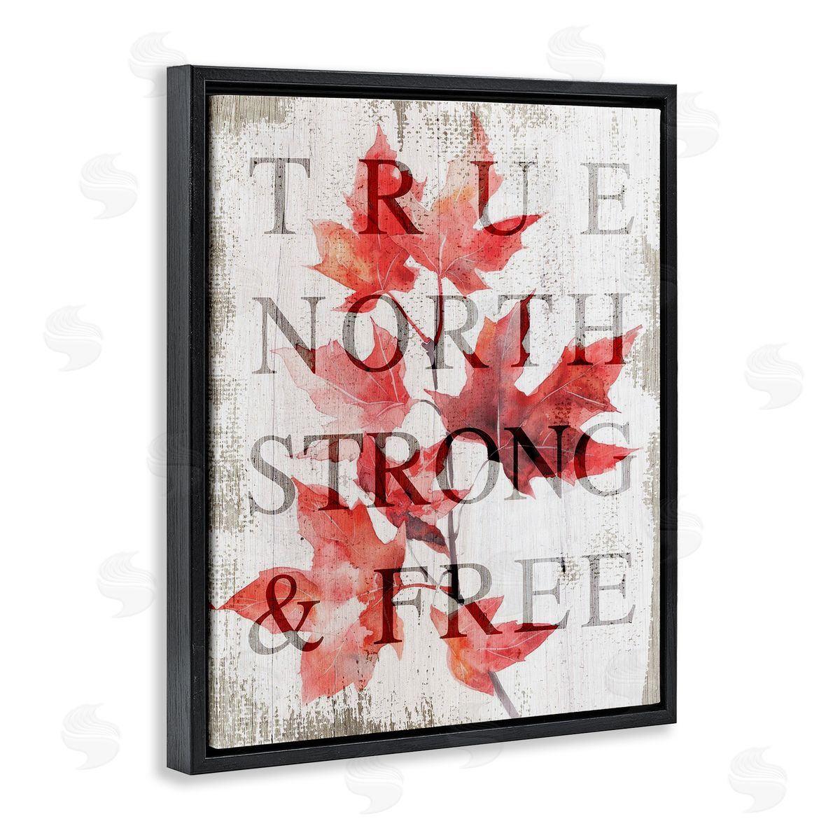 Lil' Rue True North Strong & Free Canvas Wall Art Print