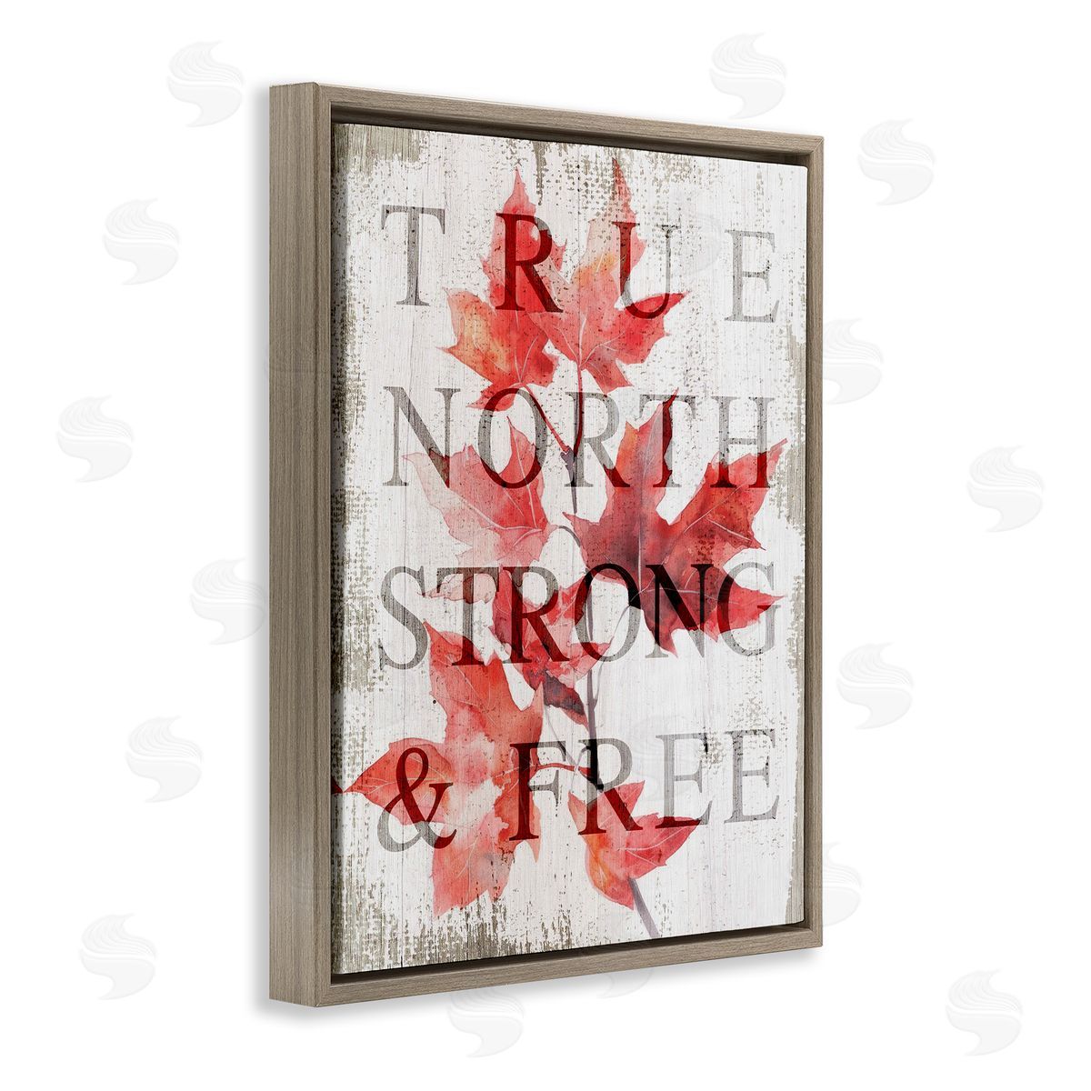 Lil' Rue True North Strong & Free Canvas Wall Art Print