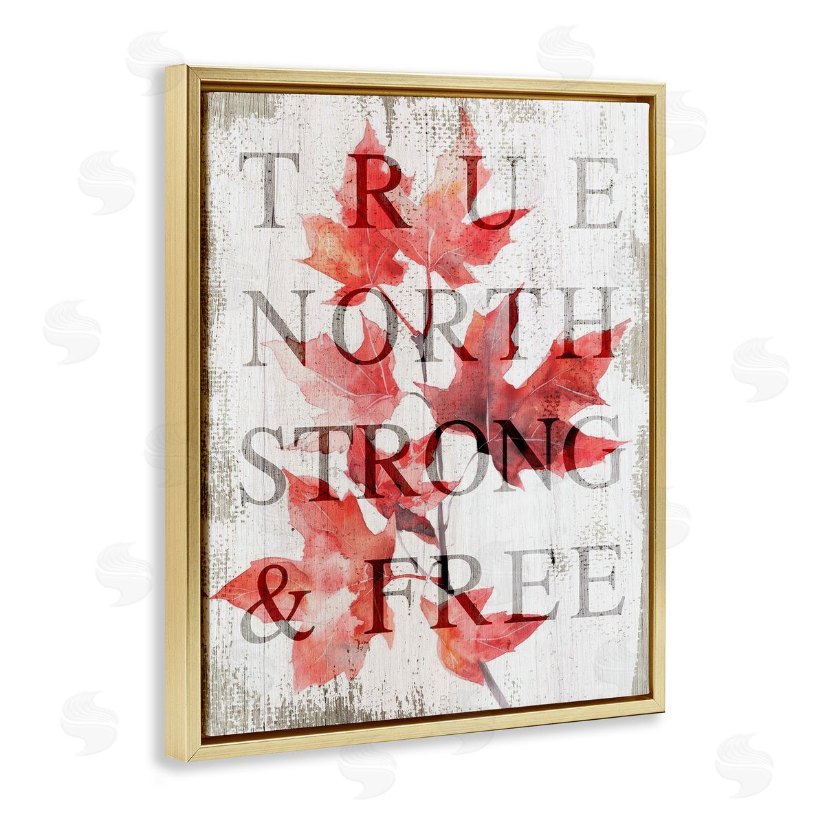 Lil' Rue True North Strong & Free Canvas Wall Art Print