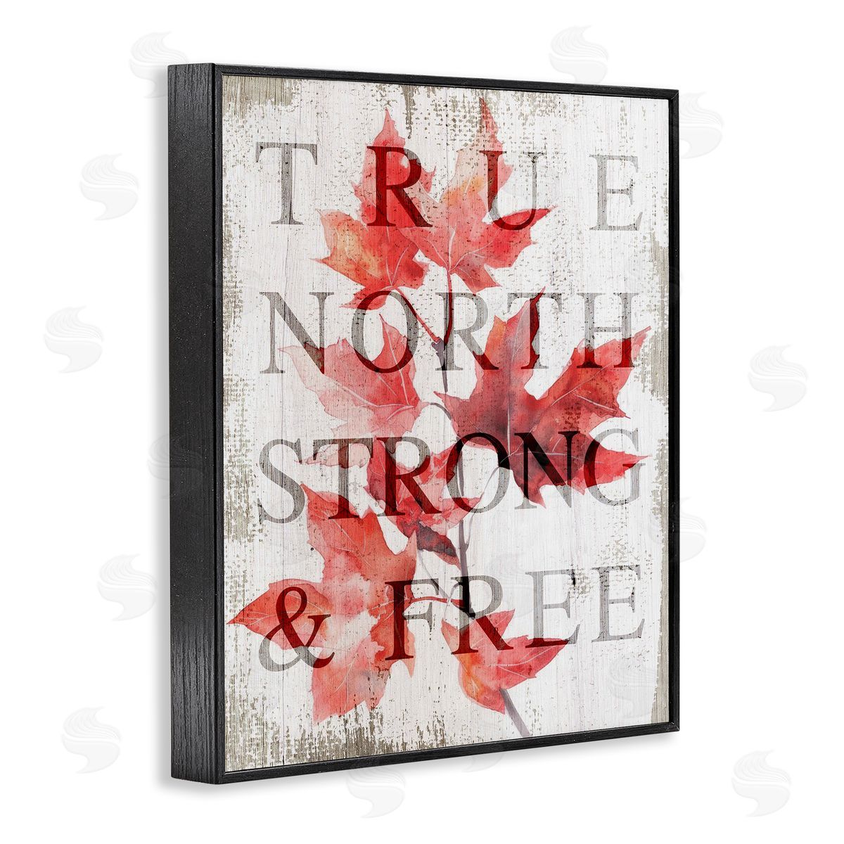 Lil' Rue True North Strong & Free Canvas Wall Art Print