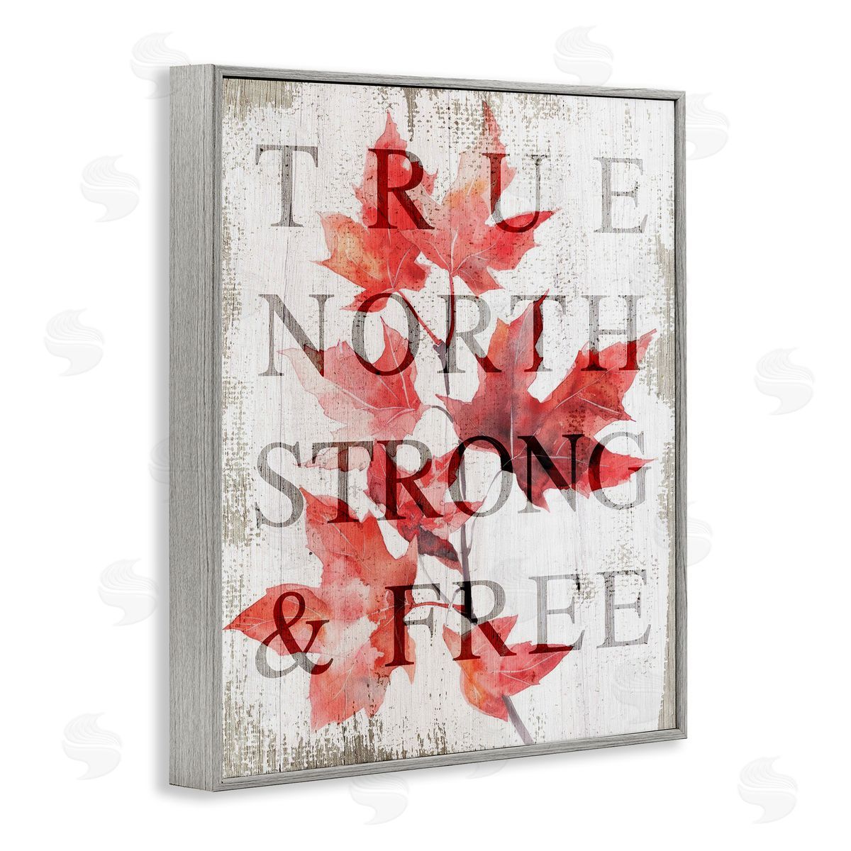 Lil' Rue True North Strong & Free Canvas Wall Art Print