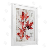 Lil' Rue | True North Strong & Free