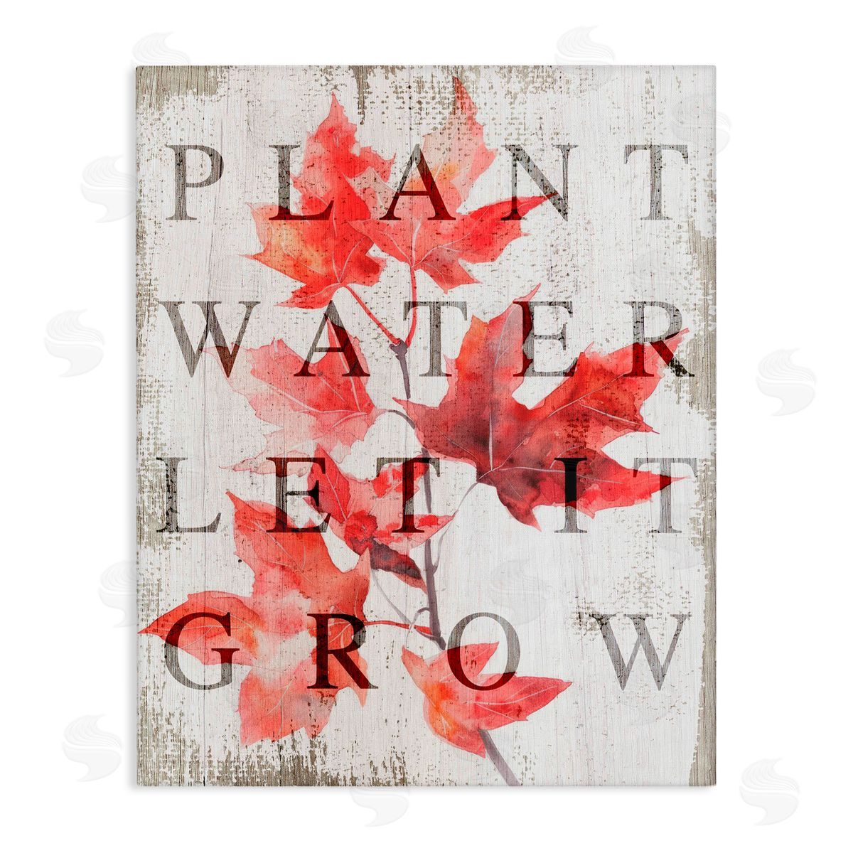 Lil' Rue Plant Water Let It Grow Canvas Wall Art Print
