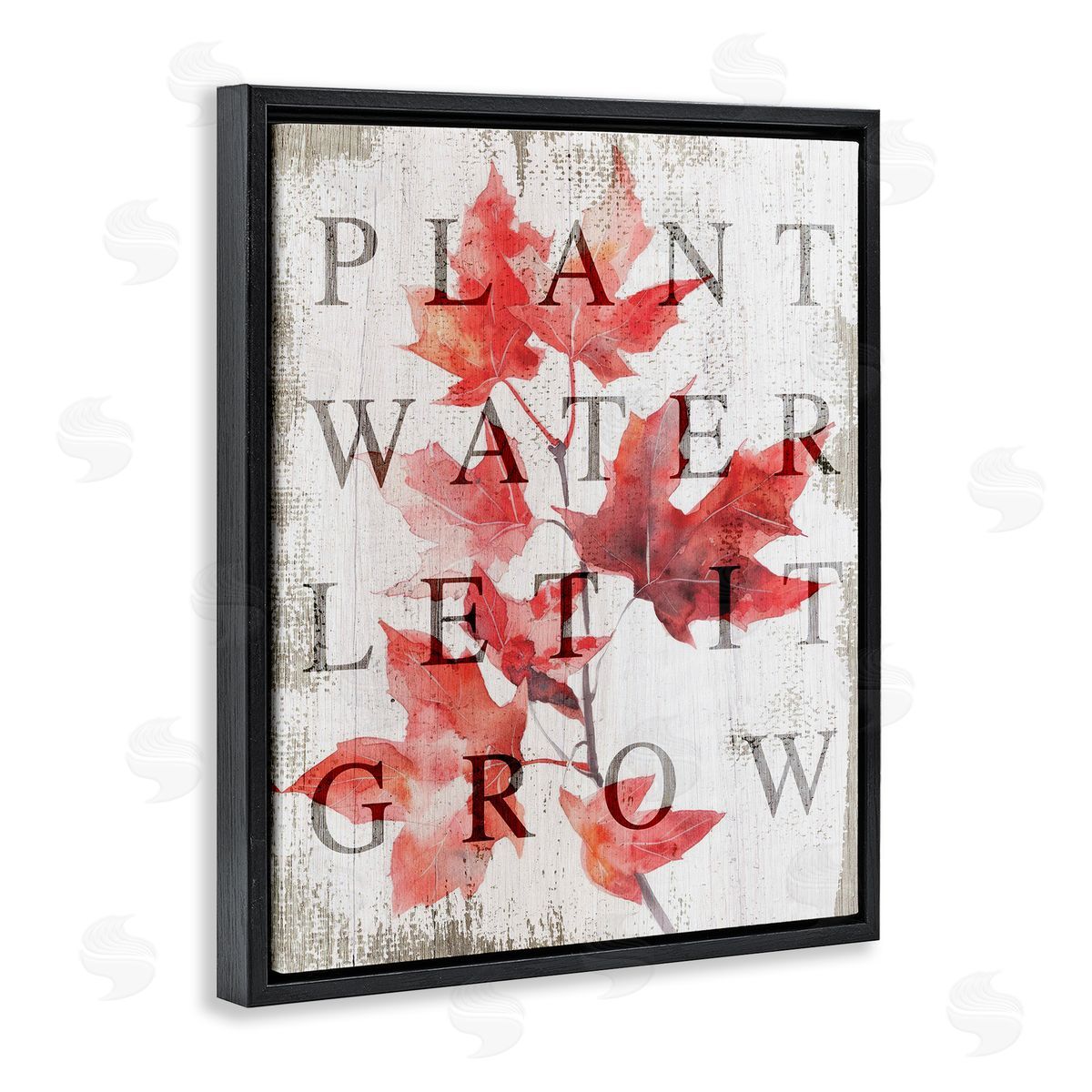 Lil' Rue Plant Water Let It Grow Canvas Wall Art Print