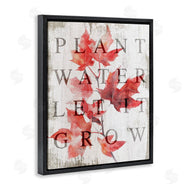 Lil' Rue | Plant Water Let It Grow