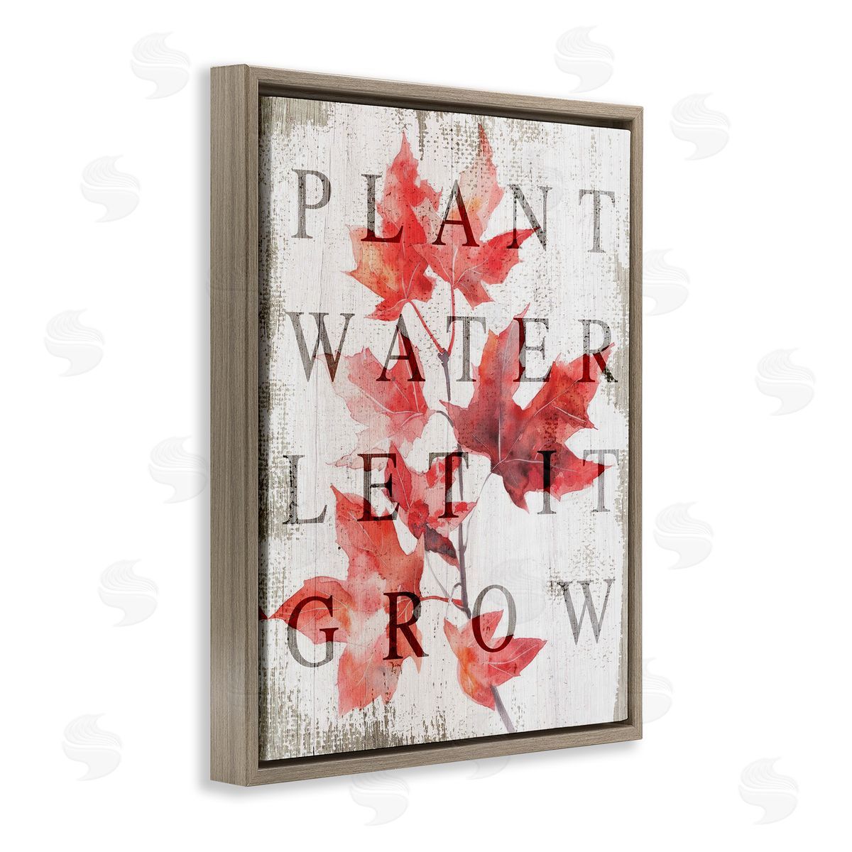 Lil' Rue Plant Water Let It Grow Canvas Wall Art Print