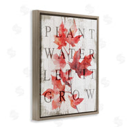 Lil' Rue | Plant Water Let It Grow