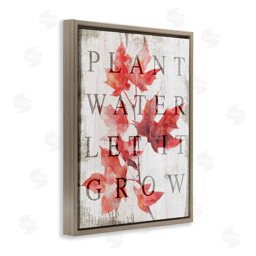 Lil' Rue | Plant Water Let It Grow