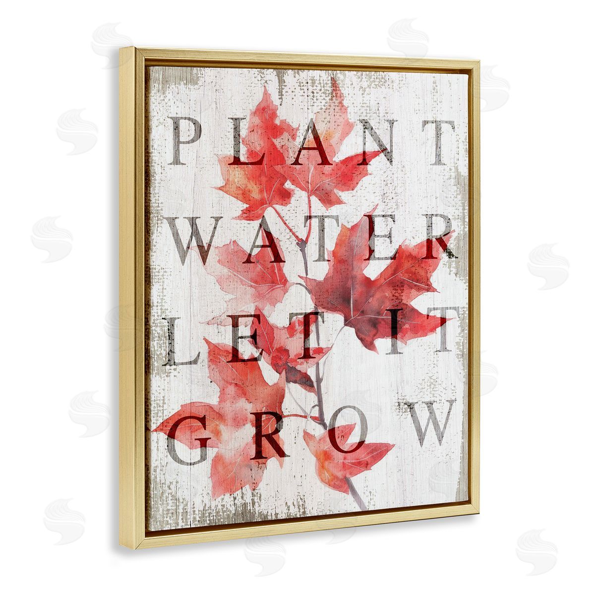 Lil' Rue Plant Water Let It Grow Canvas Wall Art Print