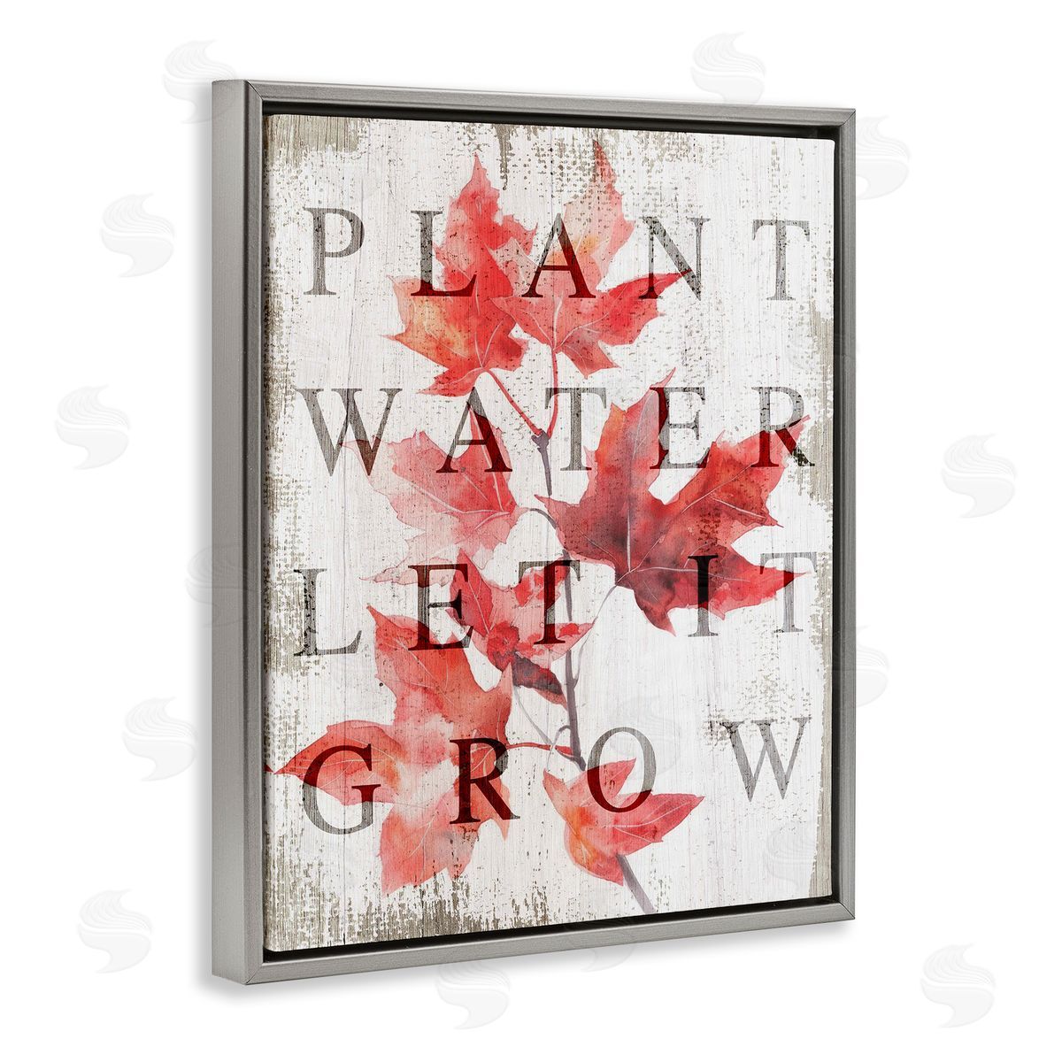 Lil' Rue Plant Water Let It Grow Canvas Wall Art Print